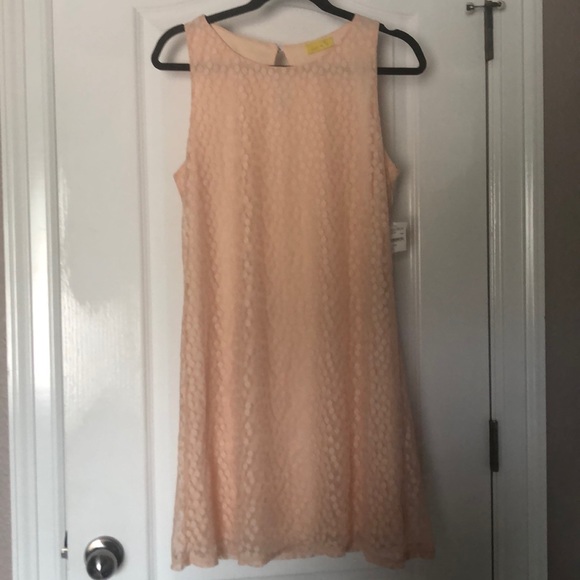 NWT Nordstrom Dee Elle Lace Spring Blush Peach Polka Dot Sleeveless Shift Dress - Picture 4 of 12